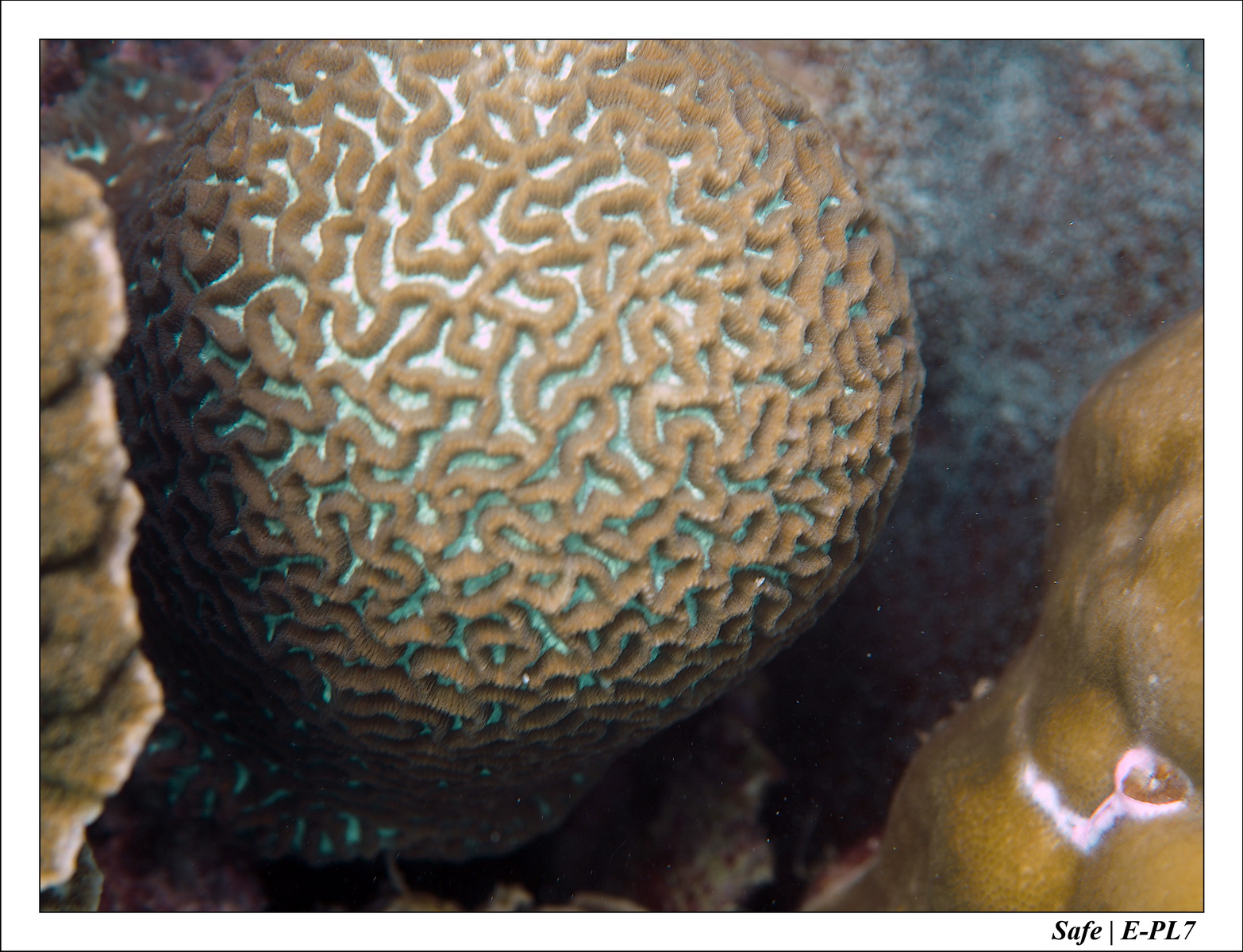 2018 - 08 - Pulau Tinggi - 07